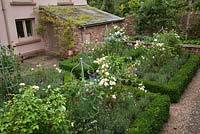 Parterres bordés de boîtes remplies de roses, lavande, petits pois et Agapanthe dans le jardin de la cour - Brockhampton Cottage, Herefordshire.