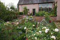 Parterres bordés de boîtes remplies de roses, lavande, petits pois et Agapanthus dans le jardin de la cour - Brockhampton Cottage, Herefordshire