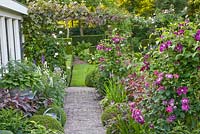 Rosa 'William Lobb' avec Clematis 'Warszawska Nike '