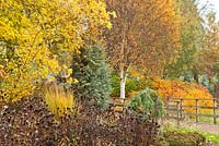 Parterre d'automne mixte en bois d'Adrian, les jardins de Bressingham, Norfolk, Royaume-Uni.