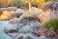 Le jardin d'été en novembre, l'hiver. Jardins de Bressingham, Norfolk, Royaume-Uni. Conçu par Adrian Bloom.