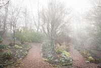 Matin brumeux dans le jardin boisé du Glebe Cottage