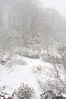 La neige qui tombe à Glebe Cottage. Vue aérienne du jardin. Merle solitaire sur arbre