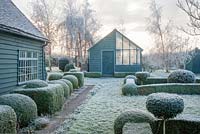 Vue sur jardin et appentis sur serre. If commun et haies topiaires et naines le matin glacial de décembre - The Mill House, Little Sampford, Essex