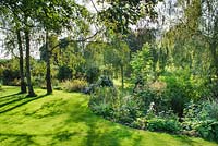 Vue sur pelouse ensoleillée avec des bouleaux et des parterres mixtes - Sally et Don Edwards, 15 Abbots Way, Horningsea, Cambridgeshire.