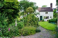 Vue de la maison, gravière, pelouse, houx topiaire, digitales et géraniums rustiques, Acer palmatum et Acer griseum