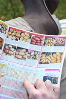 Jardinier mâle sélectionnant des variétés de pommes de terre dans un catalogue de semences