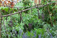 Bordure décorative - 'George's Marvelous Medicine' - Gagnant du meilleur jardin scolaire - BBC Gardeners World Live