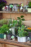 Herbes en pots sur des étagères en bois. 'George's Marvellous Medicine', conçu par l'école primaire Burlish Park. Salon du jardinage de printemps de Malvern 2012