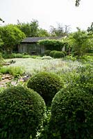 Jardin de campagne avec plantation informelle d'Antennaria dioica, boules Buxus, Artemisia 'Silver Queen', Brunnera, Lavandula, Veronica spicata, Anaphalis, Vinca minor, Acaena et fraise des bois - Ulla Molin