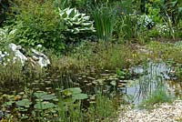 Petite piscine faunique avec plantation marginale et parterre de fleurs structurelles contenant Hostas et Astilbes - Open Gardens Day 2012, Westleton, Suffolk