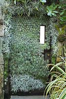 Porte recouverte de Tillandsia dans le jardin en cascade conçu par Roberto Burle Marx à Longwood Gardens, Pennsylvanie