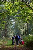Chercher des champignons dans les bois feuillus anglais