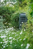 Faux GPO cabine téléphonique dans un jardin sauvage avec des marguerites oxeye - The Mill House, Little Sampford, Essex