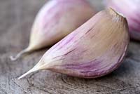 Allium sativum 'Bzenec' - Gousses d'ail bio sur une surface en bois, un ail violet à rayures originaire de République Tchèque