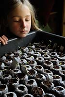 Jeune fille regardant des plants récemment germés dans des pots en fibre de coco 'jiffy'
