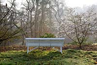 Magnolia 'Robert's Dream à côté d'un banc surplombant la vallée à Sherwood Garden, Devon