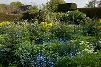 Parterres de fleurs larges et informels avec oubli, persil de vache, Euphorbe et géraniums - Great Dixter, East Sussex