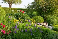 Jardin en terrasses avec haies, un arrosoir à côté de mur en pierre sèche et Hemerocallis, Iris sibirica, Paeonia et Papaver orientale