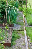 Bordure en acier corten pour les plaques de légumes et un ruisseau d'eau à côté du chemin de gravier. Les PLNT incluent Allium fistulosum, Lavandula et Thymus