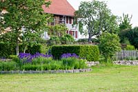Divers murs en pierre, haies et clôtures structurent un jardin en terrasses avec une maison traditionnelle sur le dessus, Iris sibirica, haie de charme coupée