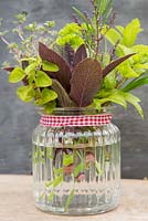Arrangement d'herbes en pot de verre - Romarin, menthe, ciboulette, thym, salvia, marjolaine et verveine citronnée