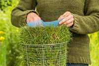 Étape par étape - Création d'un pot de gazon à l'aide de 'Frosted Curls' de Carex comans - placement d'un revêtement en plastique au centre du pot