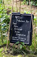Panneau indiquant à quel point les orties sont fabuleuses - Urtica dioica -. Priory Common Orchard Community Garden, London Borough of Haringey, Royaume-Uni