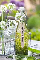 Allium Ursinum dans un vase bouteille en verre