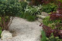 Siège en pierre à côté d'un chemin de gravier avec des plantations d'influence japonaise pour offrir un lieu de méditation calme - 'Il y a un endroit dans les bois où l'Est rencontre l'Ouest' Show Garden, Gold Award, Malvern Spring Show 2013