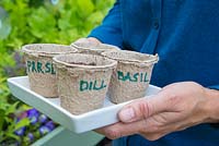 Utiliser des pots en papier pour planter des herbes