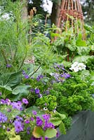 Bordure de légumes en relief mixte avec des herbes, des légumes et des plantes compagnes de floraison