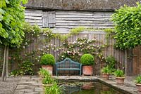 Le canal, encadré de limes blanchies et de pots d'agapanthe, avec un siège à l'extrémité entouré de Rosa 'Albertine' rose à droite et de Rosa 'Musc himalayen de Paul' à gauche. Ashley Farm, Stansbatch, Herefordshire, Royaume-Uni