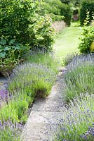 Vue depuis Il Vivaio, un petit jardin clos plein de plantes méditerranéennes, à travers le verger japonais jusqu'à une urne sur la limite du jardin au-delà. Ashley Farm, Stansbatch, Herefordshire, Royaume-Uni