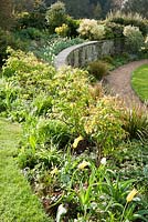 Terrasses de pierre et d'herbe avec romarin, roses et tulipes, y compris 'West Point' et 'Spring Green '. Forest Lodge, Pen Selwood, Somerset, UK