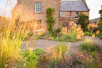 Jardin de gravier avec Stipa gigantea attraper le soleil du matin, avec Phlomis russeliana, sauge pourpre et fenouil en bronze au premier plan. Fowberry Mains Farmhouse, Wooler, Northumberland, Royaume-Uni