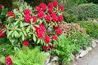 Parterre de fleurs avec Rhododendron dont 'Gabrielle Hill' et 'Doncaster' en juin