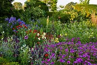 Parterres d'été informels larges géraniums, daisie oeil de boeuf, s Lychnis coronaria, Phlox, Oenothera, haies d'ifs Great Dixter East Sussex England
