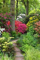 Chemin à travers l'Azalea Walk - Dorothy Clive Gardens - Shropshire, Royaume-Uni