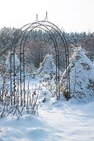 Roses paillées de paille sous la neige pour une protection hivernale. Jardin botanique de l'Académie polonaise des sciences - Powsin / Varsovie, Pologne