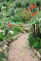 Chemin à travers le jardin d'Aloe, Kirstenbosch National Botanical Garden, Cape Town, Afrique du Sud