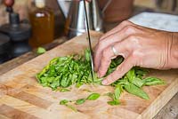 Étape par étape - Couper et congeler le basilic pour le pesto. Couper les feuilles de basilic fraîchement cueillies.