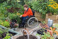 Femme âgée handicapée mort Dahlia 'Topmix Orange' dans un petit jardin de banlieue
