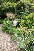 Petit jardin de Londres avec plantation informelle d'Euphorbia mellifera, Epimedium perralchicum, Myosotis, Digitalis, Viburnum Tinus et Arbutus unedo en parterre ombragé