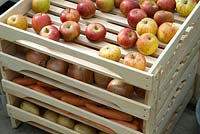 Unité de stockage de pommes et légumes