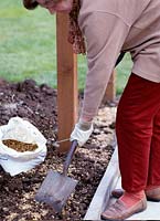 Pergola Construction - femme incorporant du gravier et des galets dans le parterre de fleurs à côté du chemin pour améliorer le drainage avant de planter de la lavande