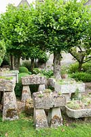 Le Troughery, une collection d'auges en pierre collectées autour de la ferme, plantée d'alpins. Derrière eux, des tilleuls blanchis dans le jardin d'hiver. Rodmarton Manor, Rodmarton, Tetbury, Glos,