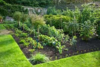 Un superbe potager qui fournit non seulement aux propriétaires des fruits et légumes réguliers mais aussi un excellent café en terrasse. Pashley Manor House and Gardens.