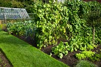 Un superbe jardin avec cuisine qui fournit non seulement aux propriétaires des fruits et légumes réguliers mais aussi un excellent café en terrasse. Pashley Manor House and Gardens.