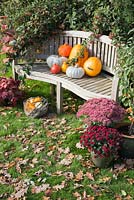 Affichage automnal de citrouilles sur banc de jardin. 'Prince héritier', 'Mammouth', 'Uchiki Kuri' et panier de Courges.